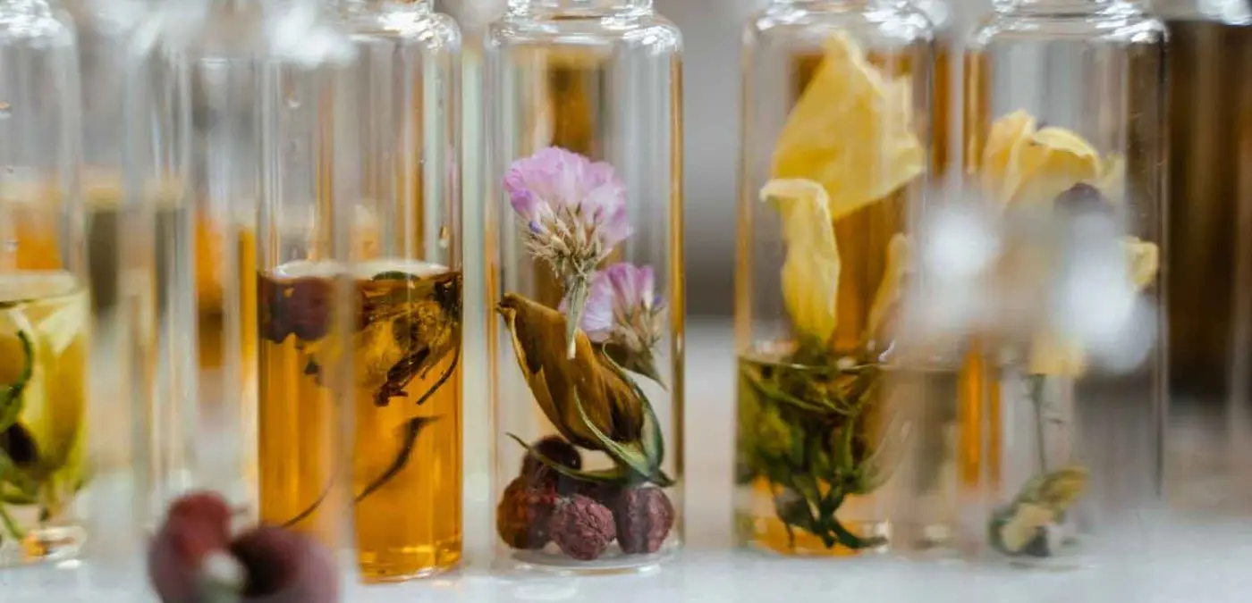 Los mejores ingredientes para el cabello